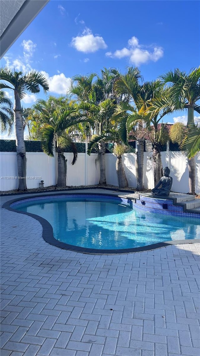 view of pool with a patio