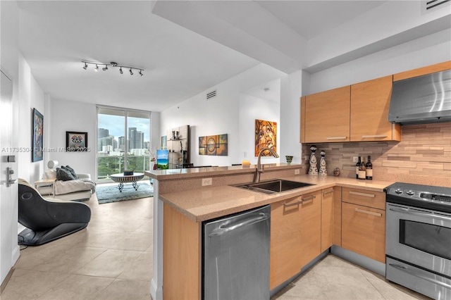 kitchen featuring appliances with stainless steel finishes, sink, decorative backsplash, expansive windows, and kitchen peninsula