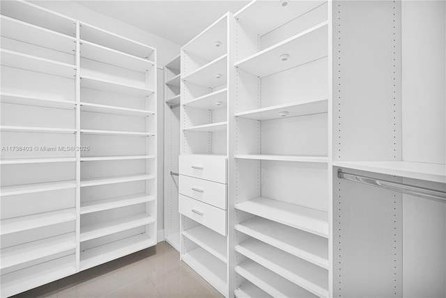 view of spacious closet