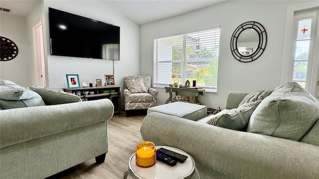 living room with light wood-type flooring