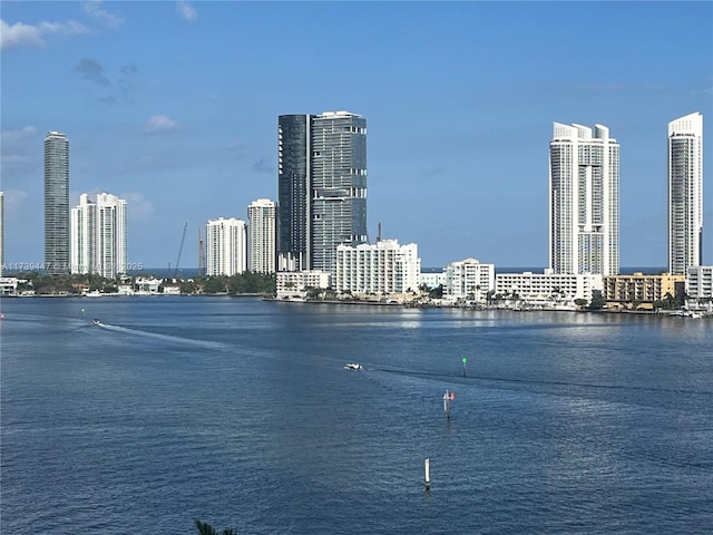 view of water feature with a city view