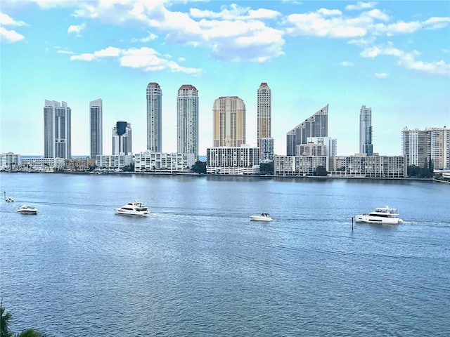 property view of water with a city view