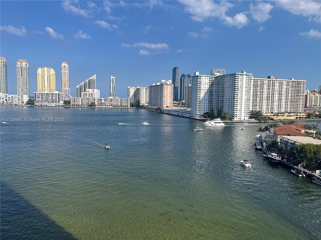 water view featuring a city view