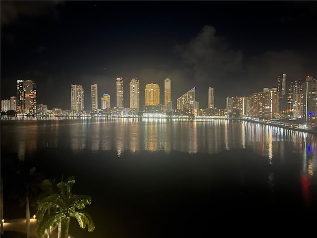 view of water feature featuring a view of city lights