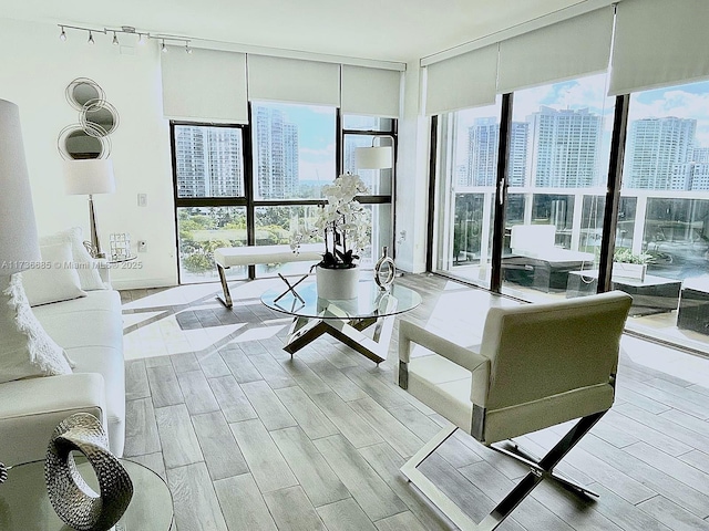 living room featuring expansive windows