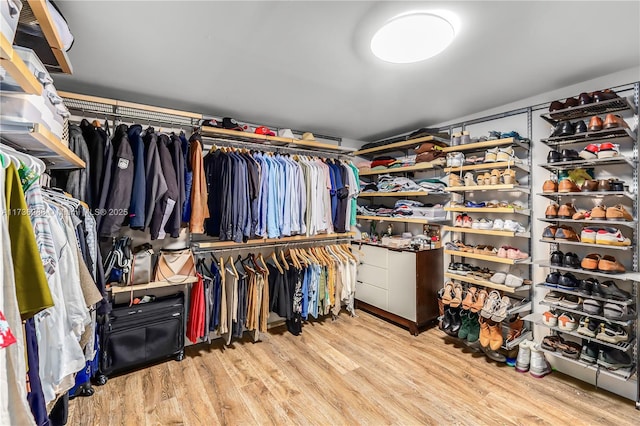 spacious closet featuring wood finished floors