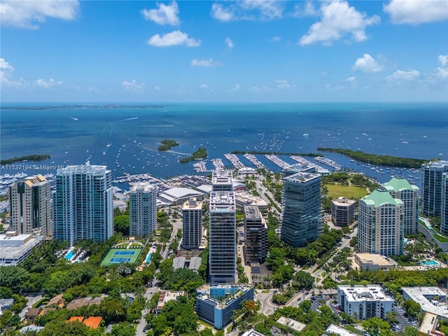 bird's eye view with a water view