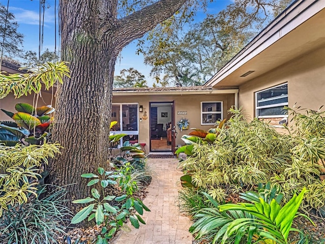 entrance to property with stucco siding