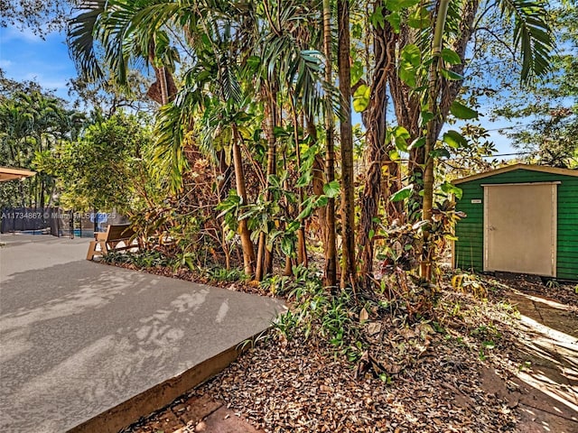 view of yard featuring an outdoor structure, a patio, and a storage unit