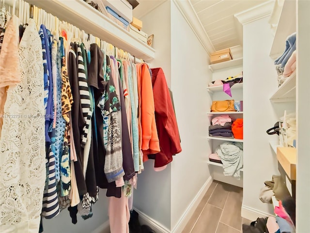 view of spacious closet