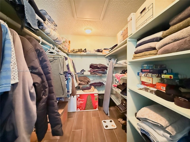 view of walk in closet