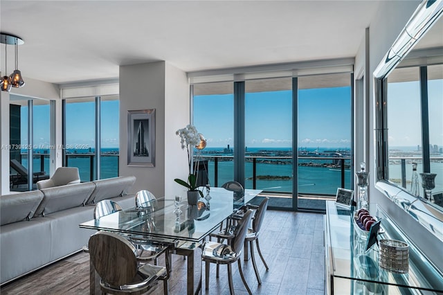 dining space featuring a wall of windows, wood finished floors, and a healthy amount of sunlight