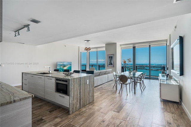 kitchen featuring sink, wood-type flooring, track lighting, light stone countertops, and a kitchen island with sink