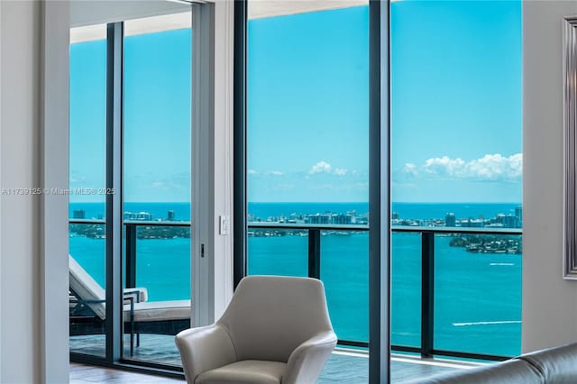 living room featuring a water view, a wall of windows, and a healthy amount of sunlight