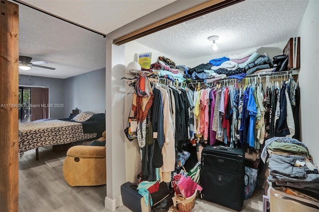 walk in closet with a ceiling fan and wood finished floors