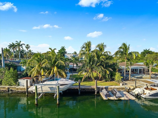 dock area with a water view