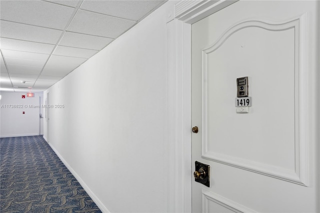 hall with carpet and a drop ceiling