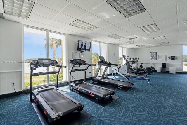 exercise room featuring a paneled ceiling, a wall of windows, and dark colored carpet