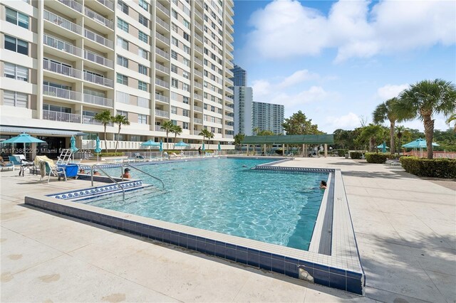 view of pool featuring a patio area