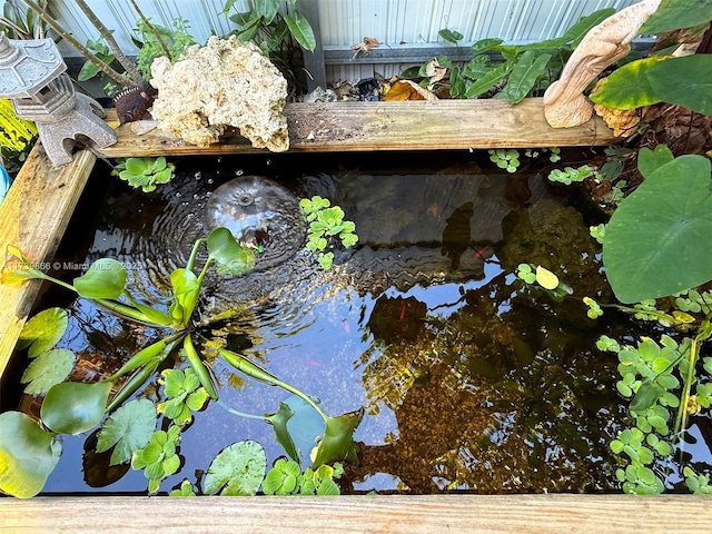 details featuring a small pond