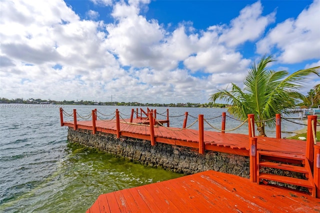 dock area with a water view