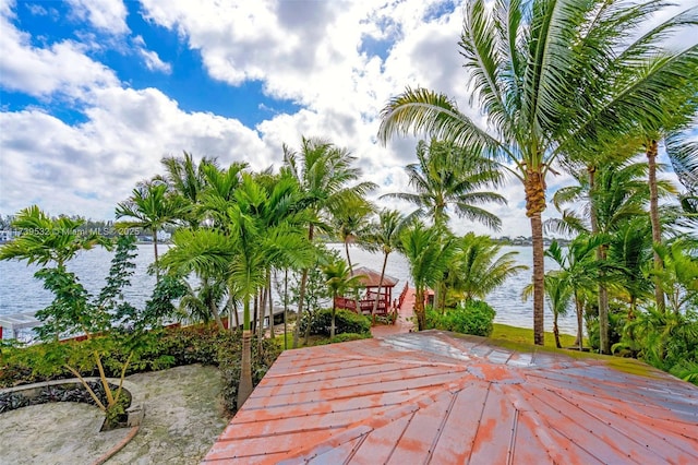 view of community featuring a water view