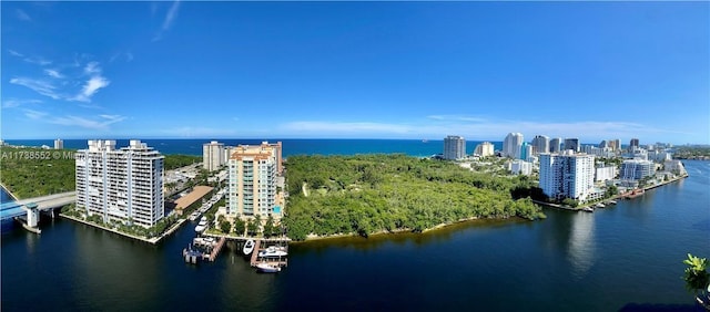 aerial view with a water view and a view of city