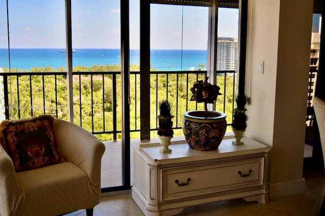 living area featuring a water view and a healthy amount of sunlight