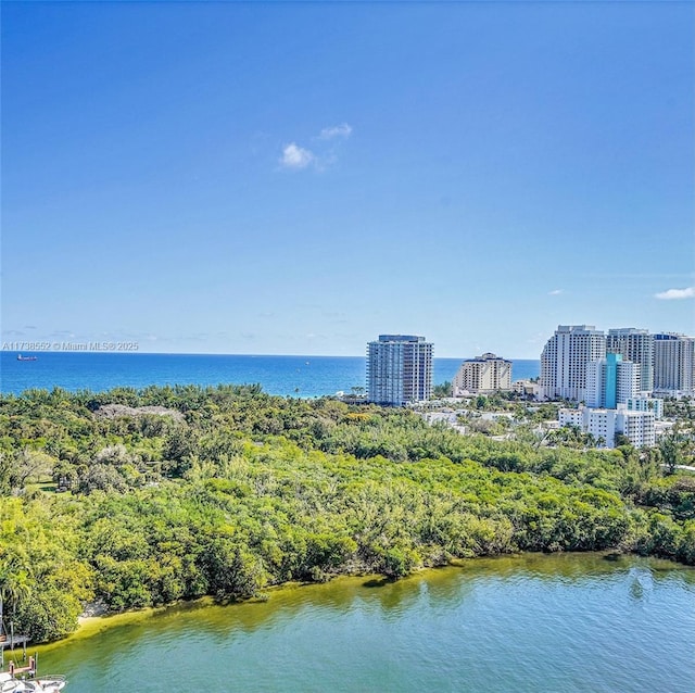 aerial view featuring a water view