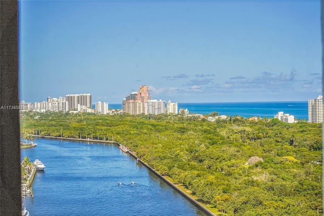 property view of water featuring a city view