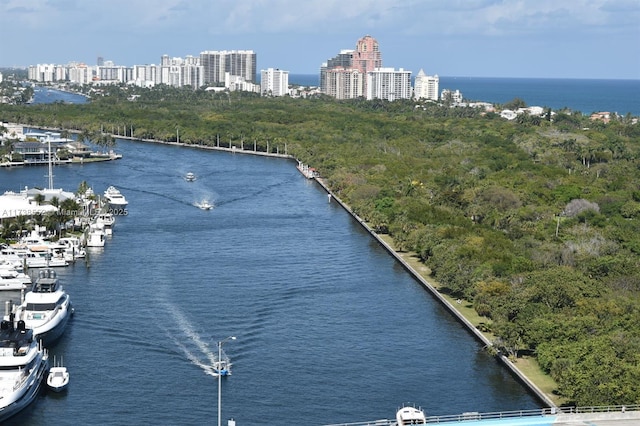 property view of water with a city view