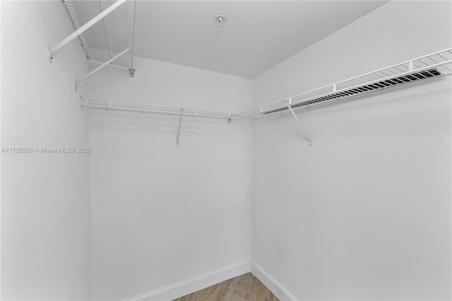 spacious closet with wood finished floors and visible vents