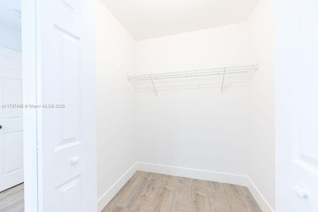 spacious closet with light wood-type flooring