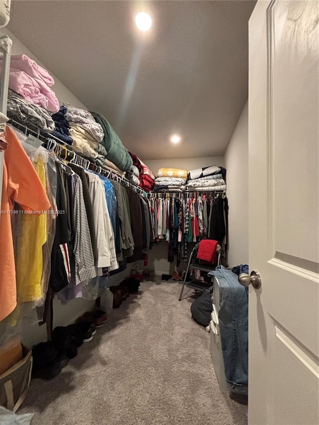 spacious closet featuring carpet