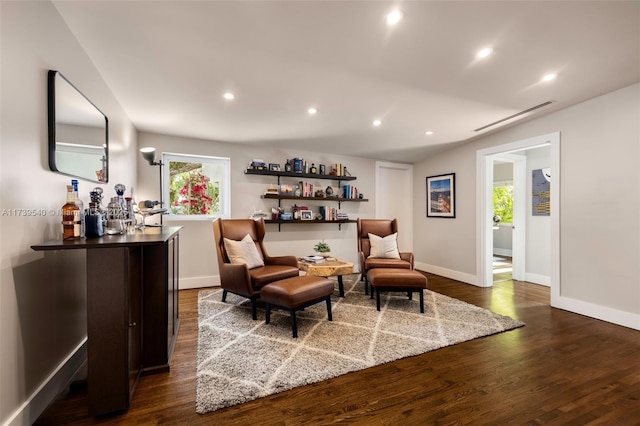 living area featuring dark wood-type flooring