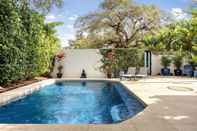 view of swimming pool with a patio area