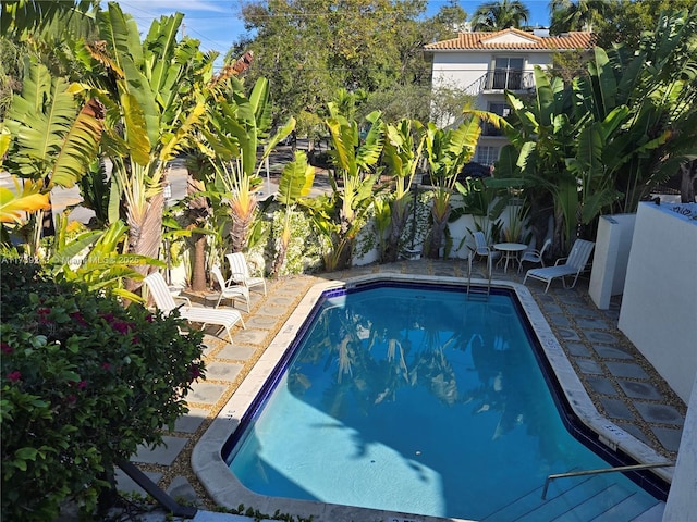 view of swimming pool