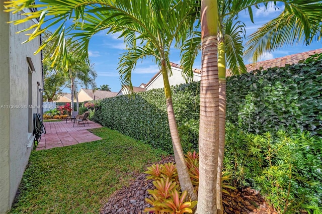 view of yard with a patio area