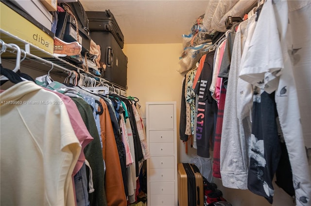 view of walk in closet