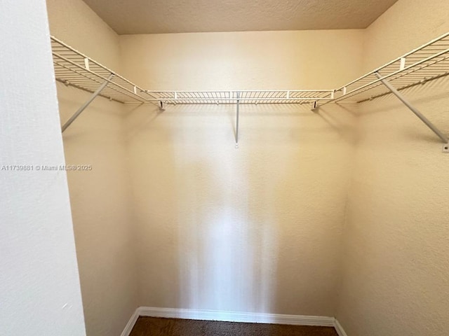 walk in closet featuring carpet