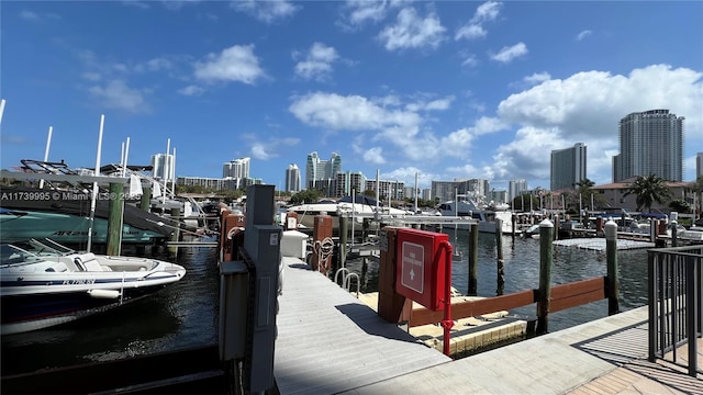 dock area with a water view