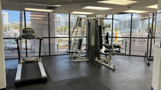 exercise room featuring a wall of windows and plenty of natural light