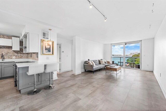 living room featuring a water view, track lighting, and floor to ceiling windows