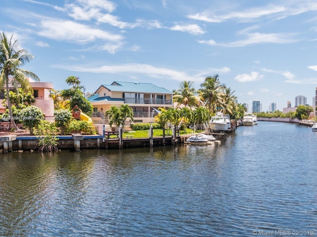 water view featuring a boat dock