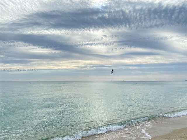 water view featuring a beach view