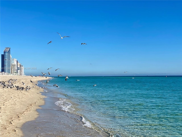 property view of water featuring a beach view