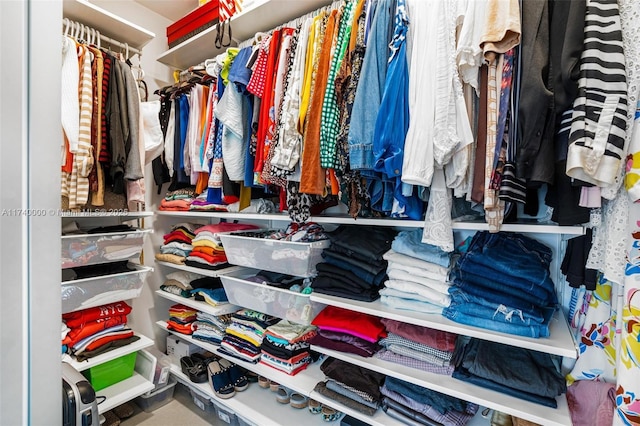 view of spacious closet