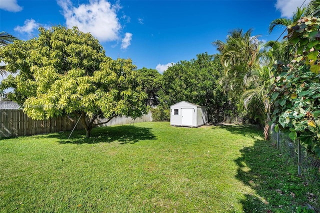 view of yard with a storage shed