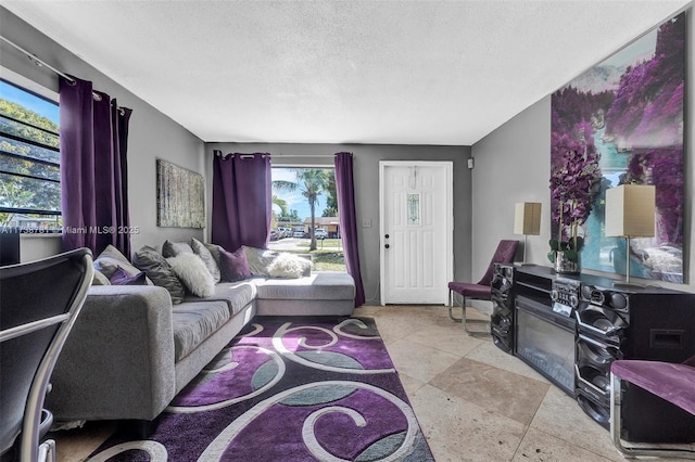 living room with a textured ceiling