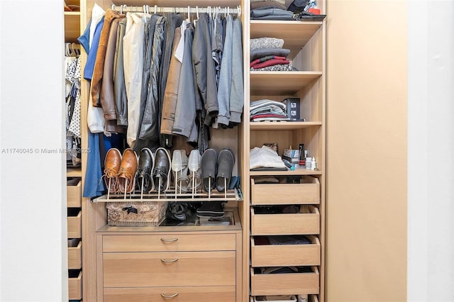 view of closet